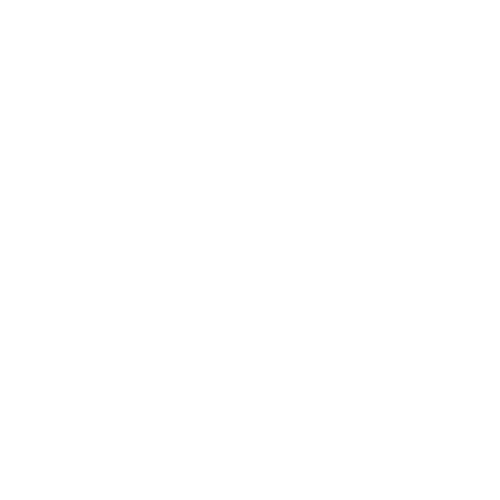 Ace Nutrition
